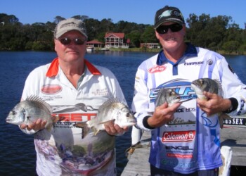 Big bream Basin hosts BETS Round 4